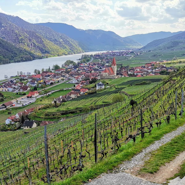 Wachau Love Story, von Dürnstein nach Weißenkirchen