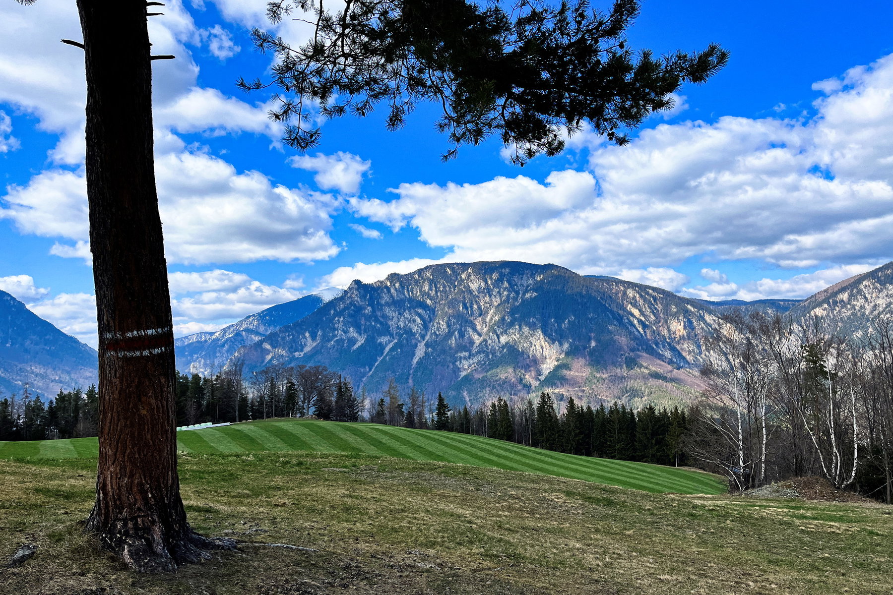 Frühlingswanderung zur Speckbacherhütte