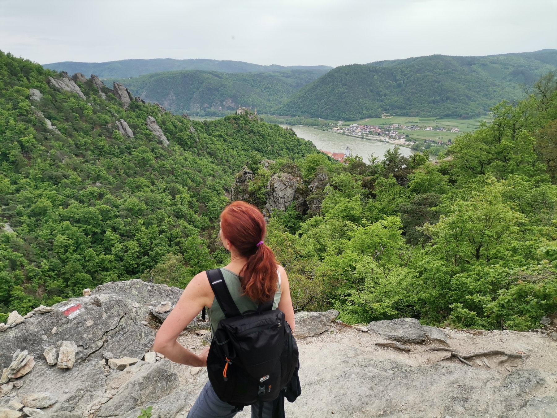 Romantische Wachau: Vogelbergsteig und Kanzel