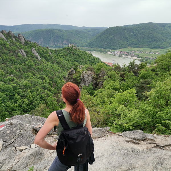 Romantische Wachau: Vogelbergsteig und Kanzel