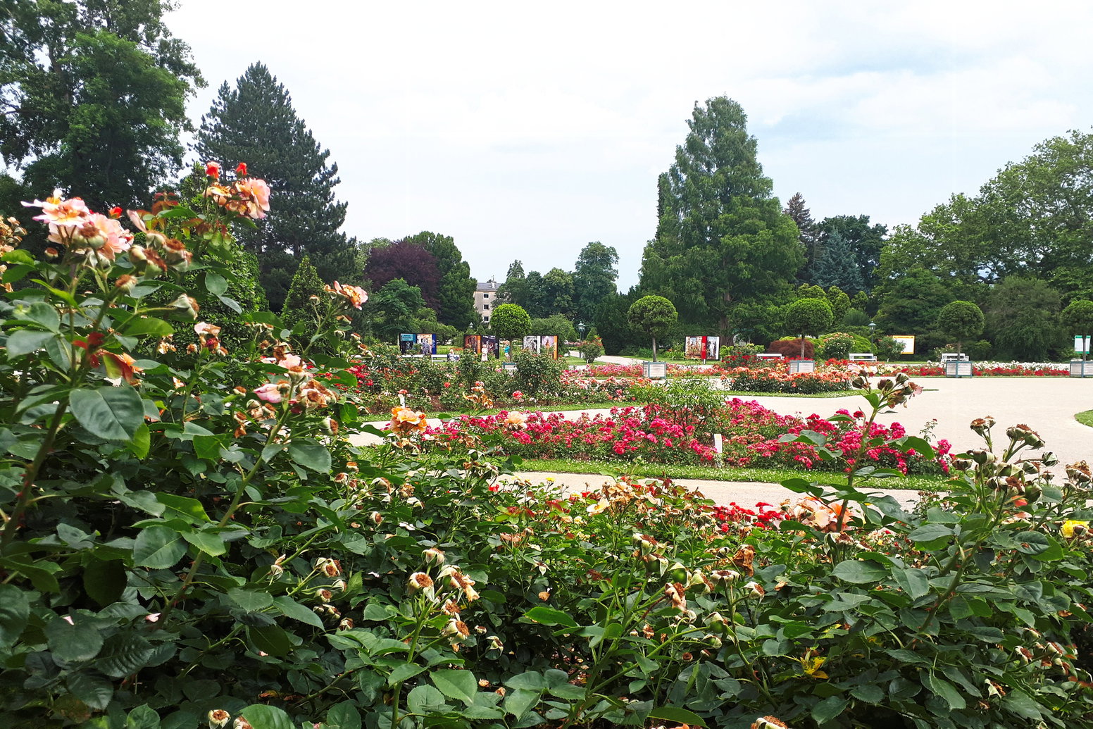 Doblhoffpark. Foto: Gerold Petritsch