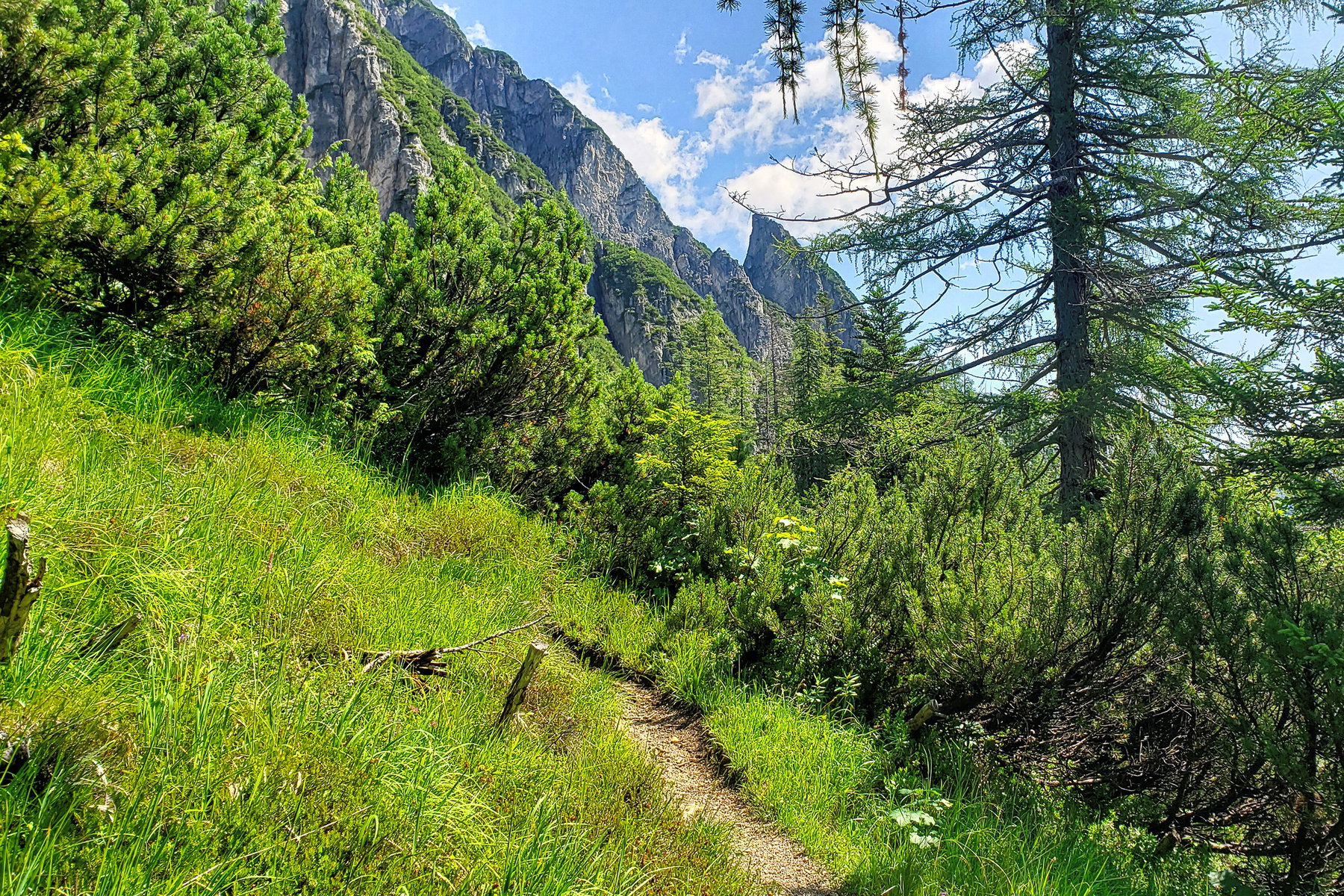 Querung Latschengürtel. Foto: Alpenverein Saalfelden