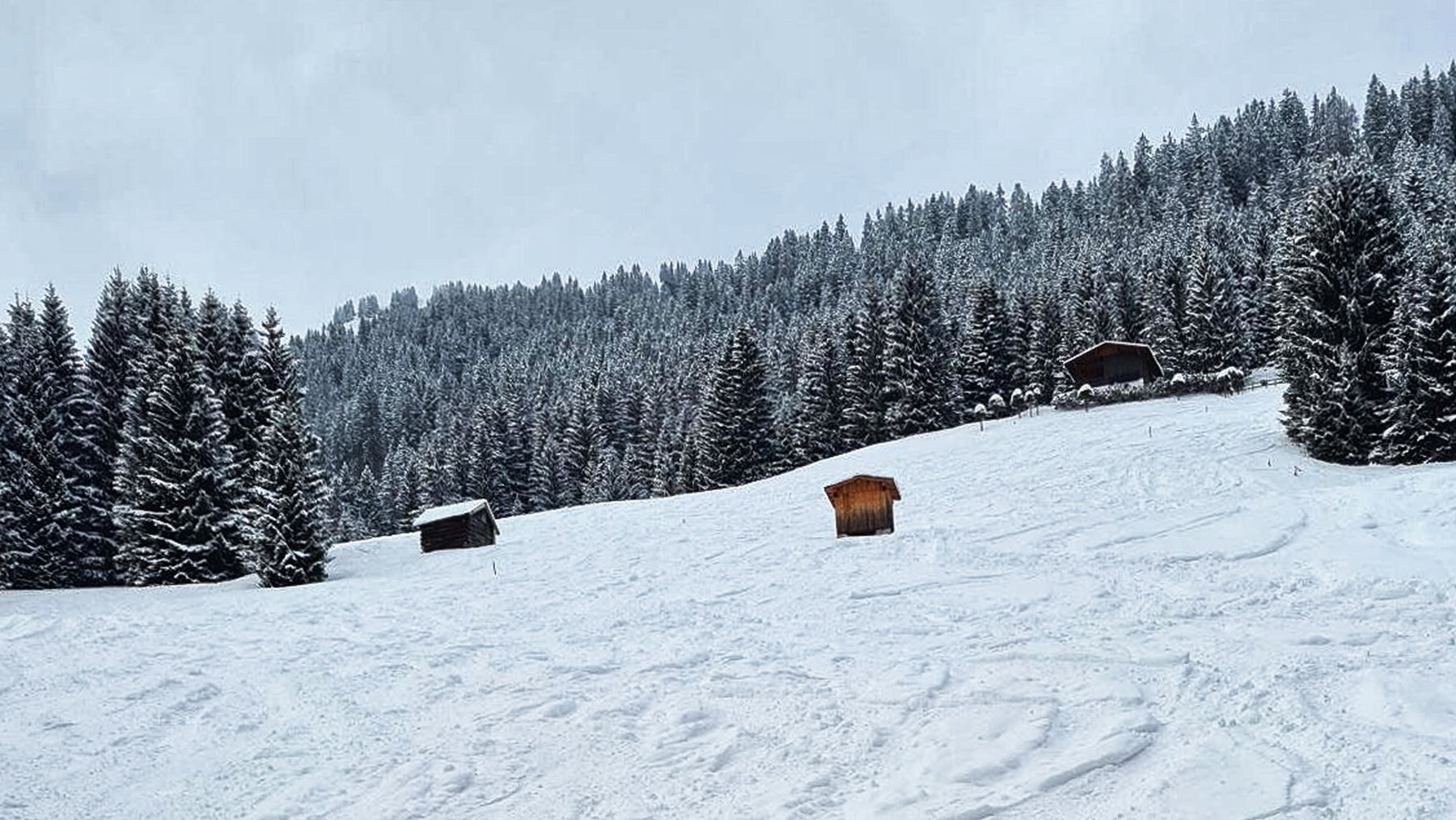 Blick zur Ehenbichler Alm hinauf. Foto: Felix Berg