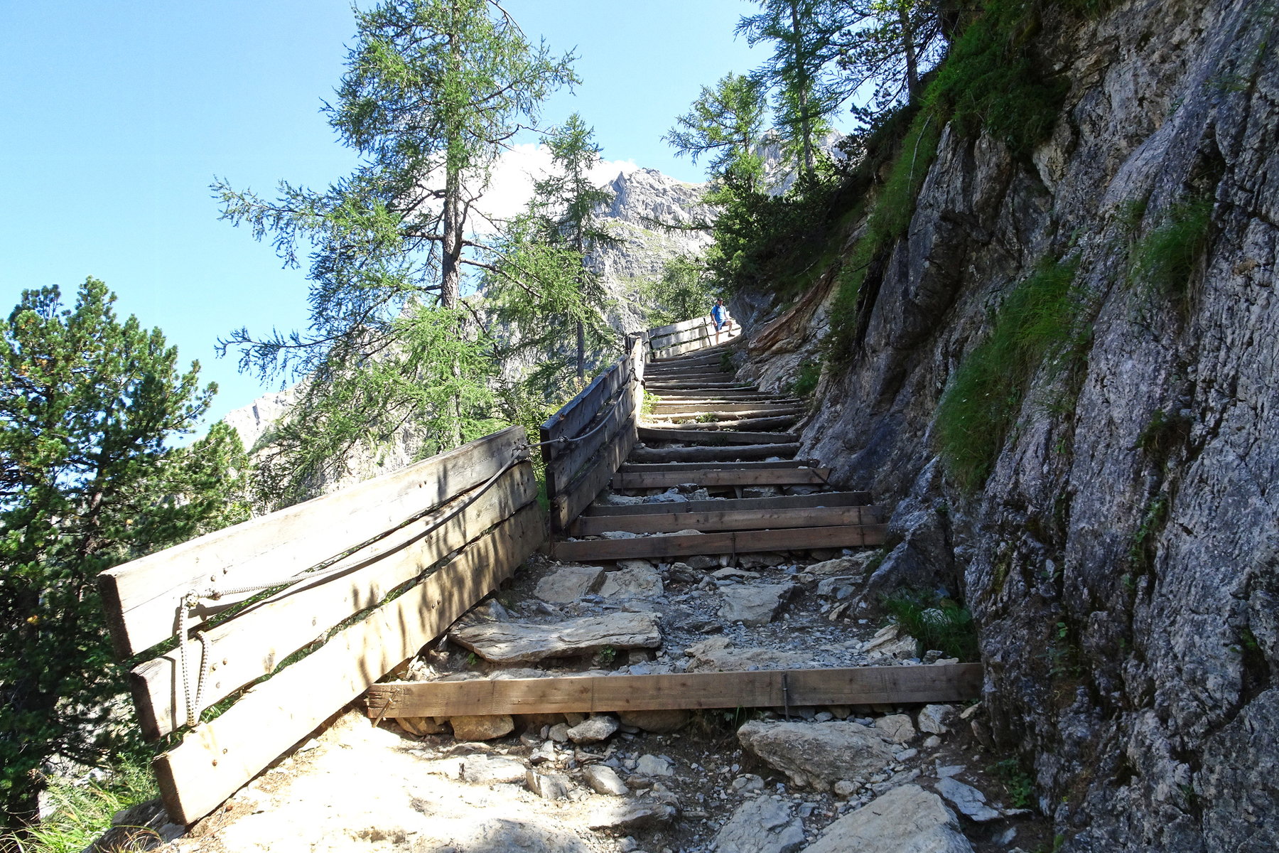 Der Weg. Foto: Ingeborg Fiala