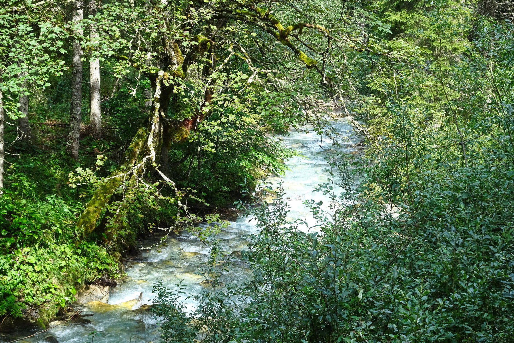 Kleinarlbach. Foto: Ingeborg Fiala