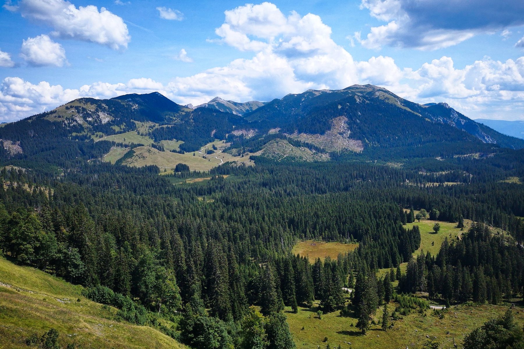 Blick auf den Schneealmstock. Foto: Andreas Steininger