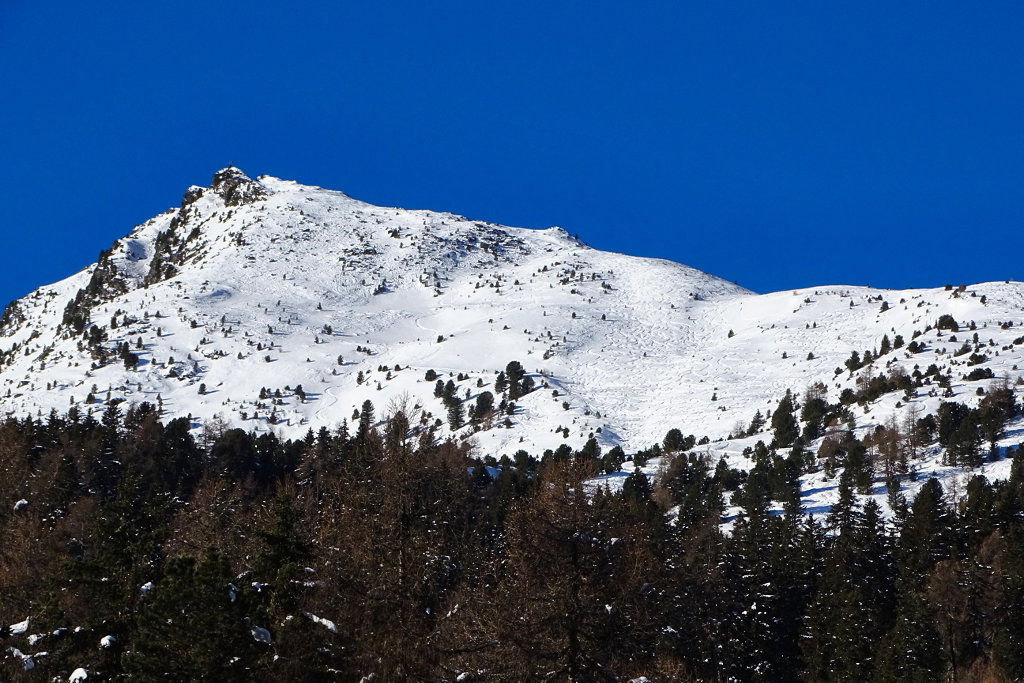 Am Ende des kleinen Grabens lichtet sich der Wald und wir erblicken den herrlichen Grat, der uns zum kleinen Gipfelaufbau an dessen südwestlichem Ende führen wird. Auch die Abfahrt wird sich wohl lohnen! Foto: Thomas Obermair