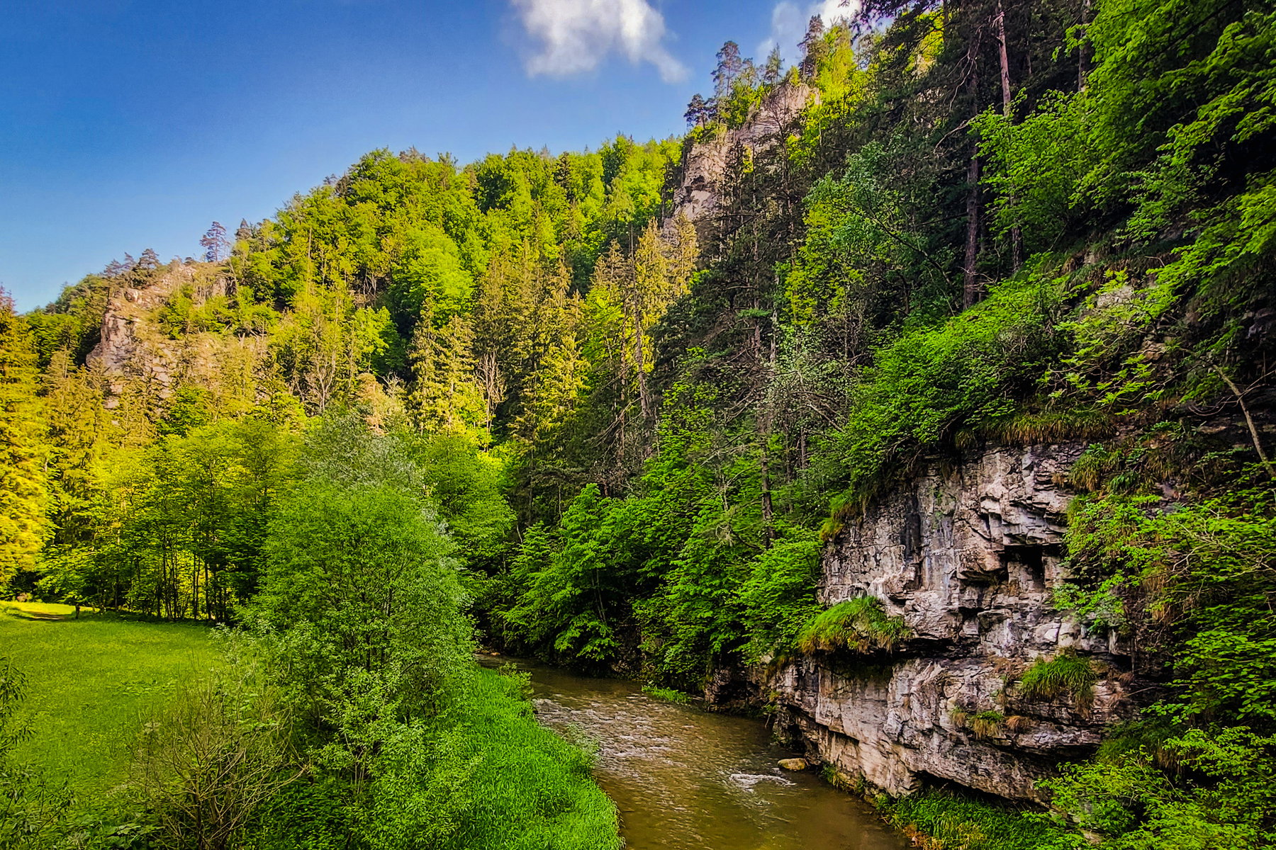 Wanderung Gösserwand und Große Raabklamm im Naturpark Almenland