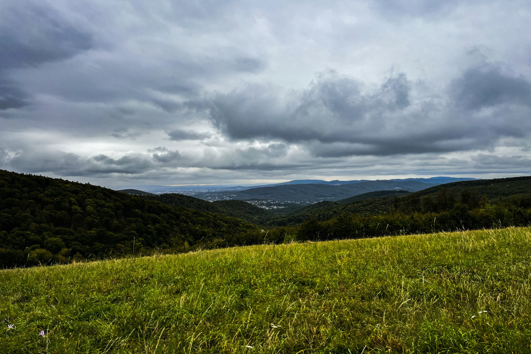 Ausblick von der Fuchswiese. Foto Birgit Matzinger