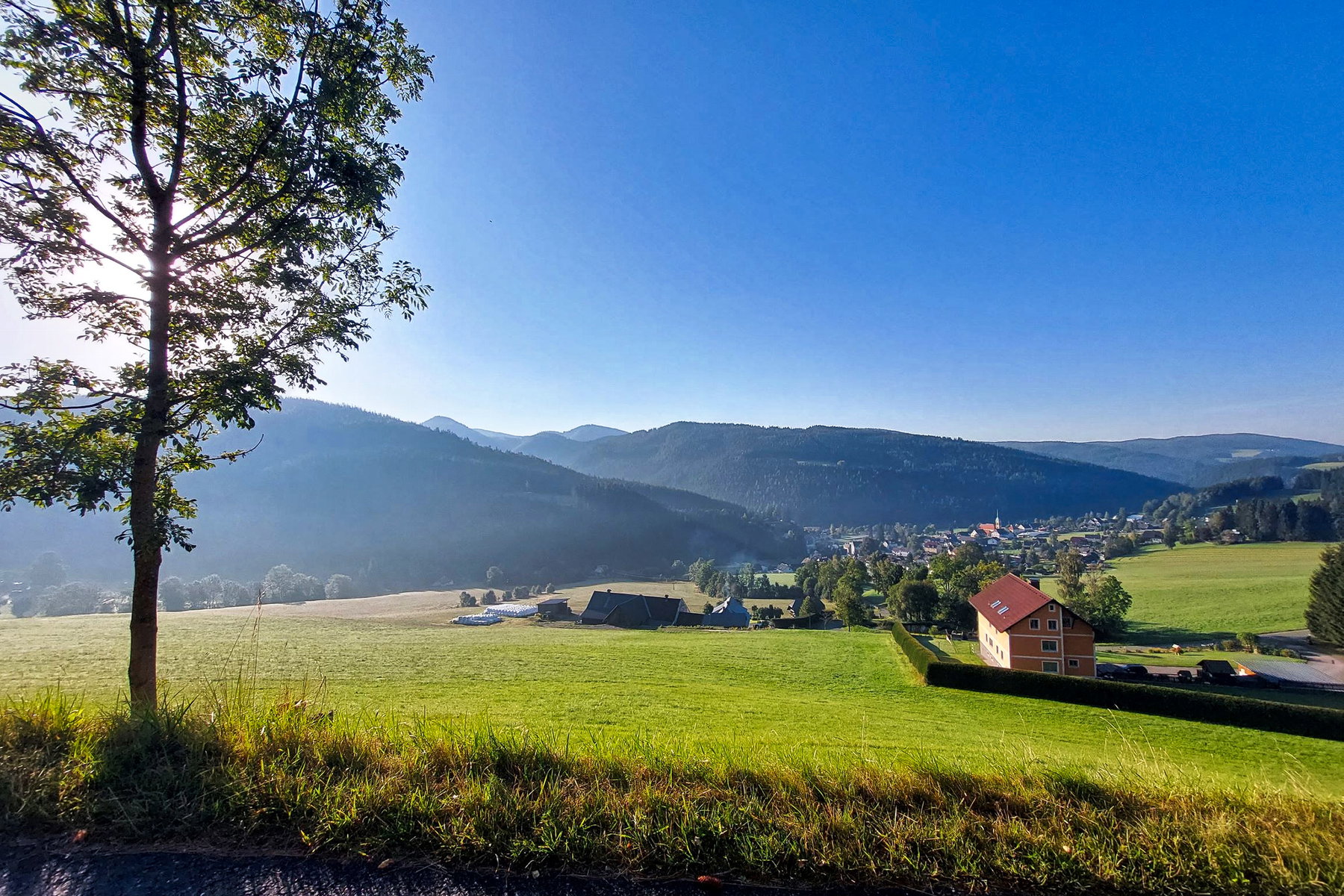 Blick zurück bei Morgenstimmung an einem Traumtag. Foto: Alice Frischherz