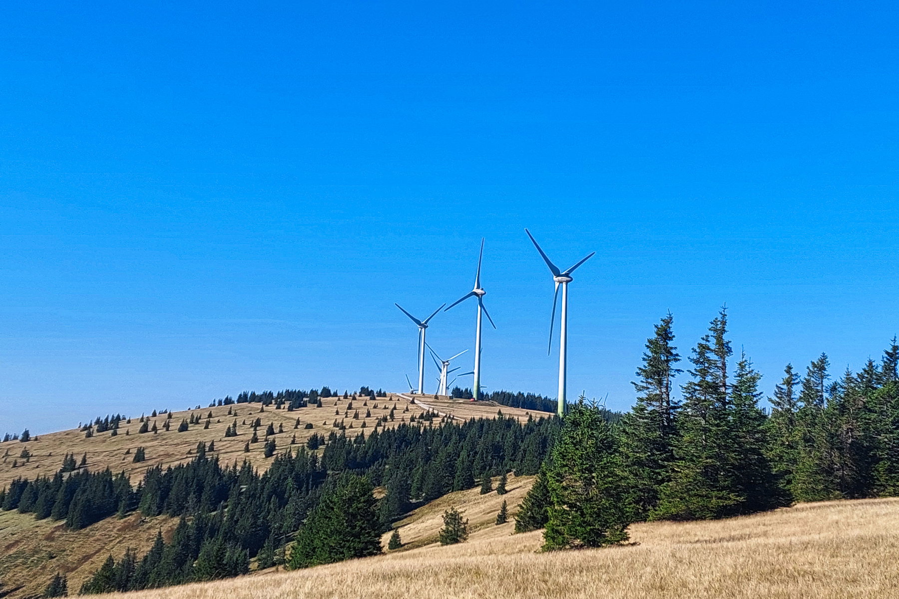 Blick in Richtung Pretul mit den ersten Windrädern. Foto: Alice Frischherz