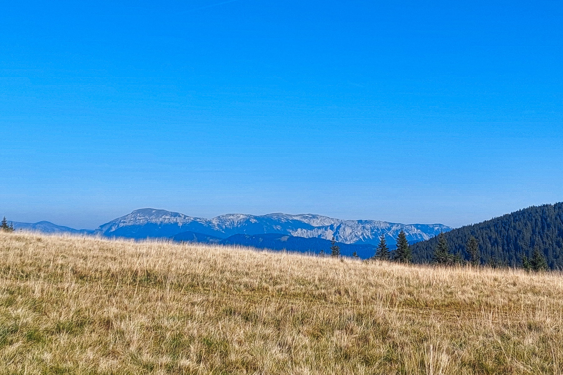 Blick auf das Raxmassiv (ca. Bildmitte Preinerwand, links Heukuppe). Foto: Alice Frischherz