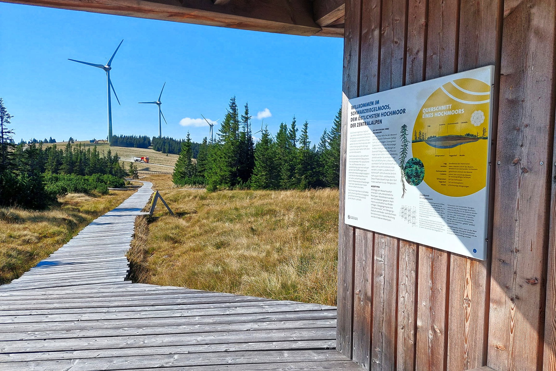 Holzsteg durch das Hochmoor Schwarzriegelmoos. Foto: Alice Frischherz