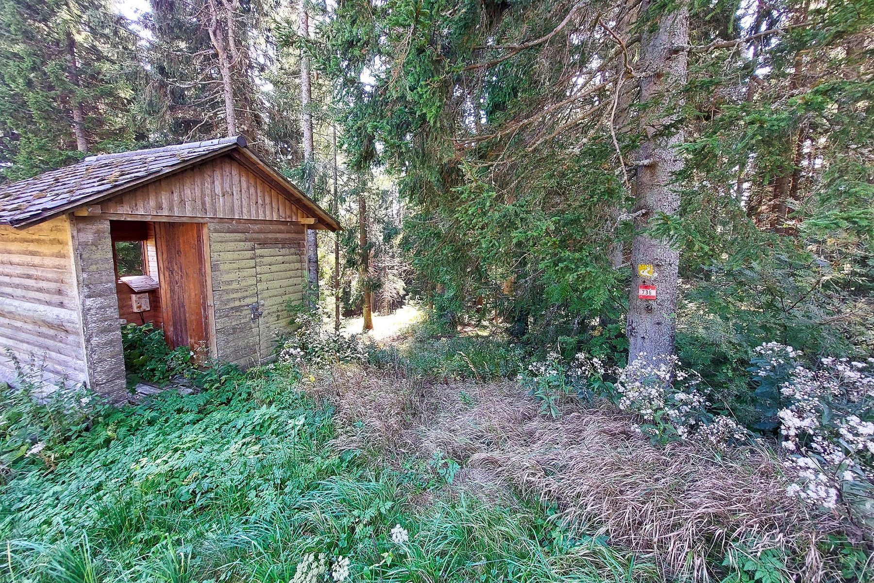 Etwas unscheinbare Abzweigung zum Wanderweg. Foto: Alice Frischherz
