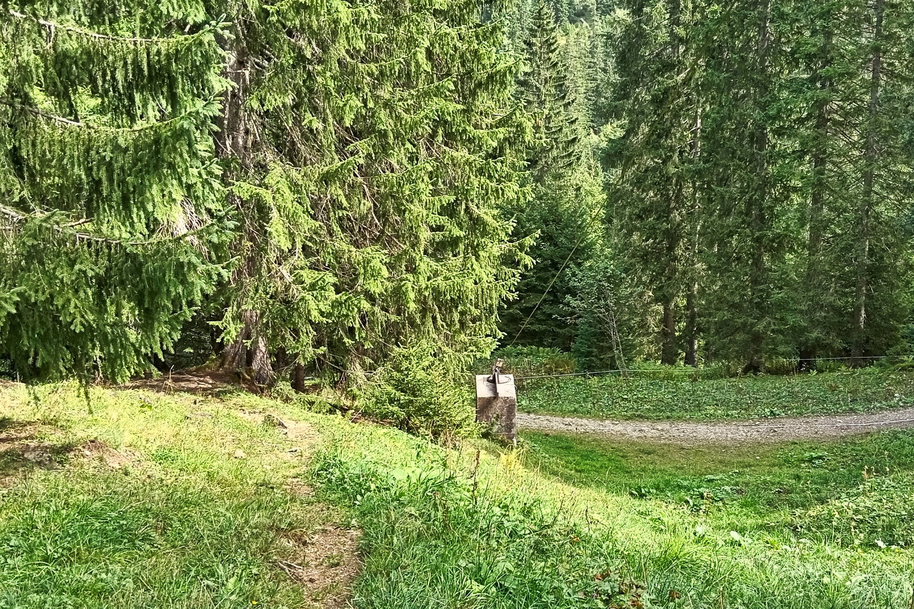 Ganz unscheinbar: hinter dieser Materialseilbahn geht der Weg hinauf. Foto: Norman und Lisa