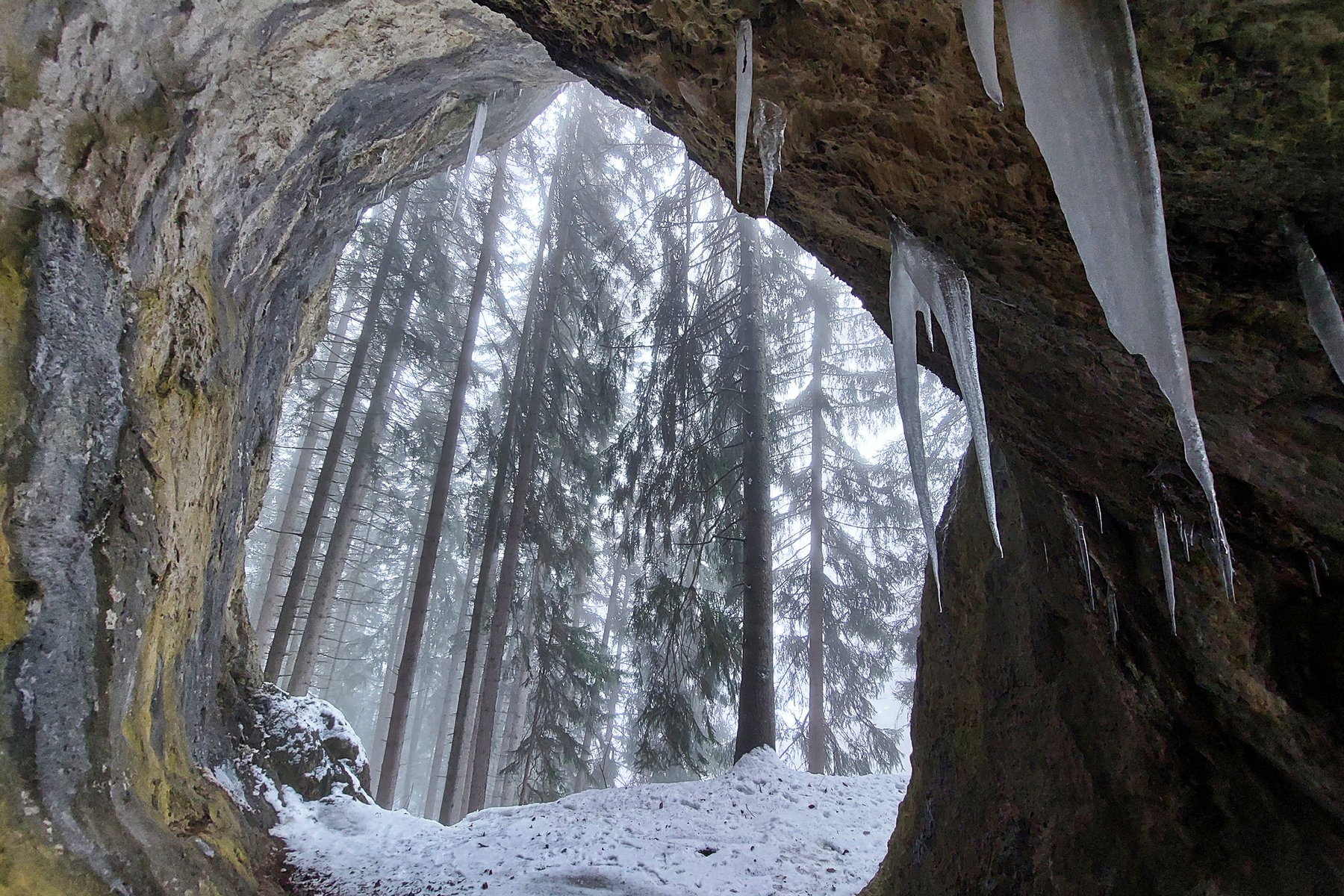 Über den Rittersteig von Kammern nach Mautern, im Schnee