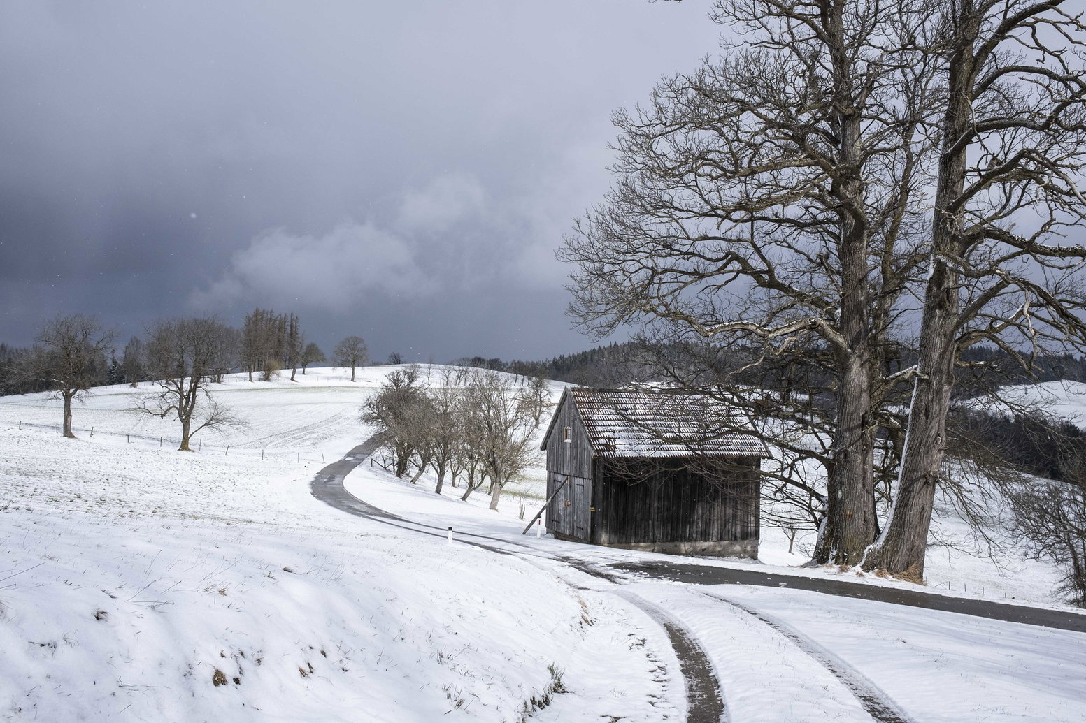 Asphaltstraße zwischen den Bauernhöfen. Foto: Birgit Reiter