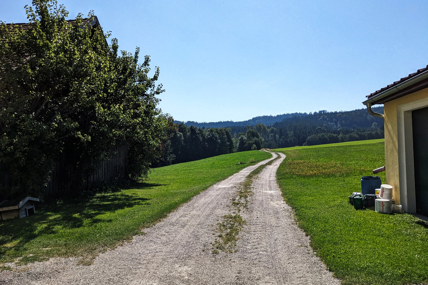 Nicht mehr weit, bis wir den Schatten des Waldes erreichen. Foto: Thomas Obermair