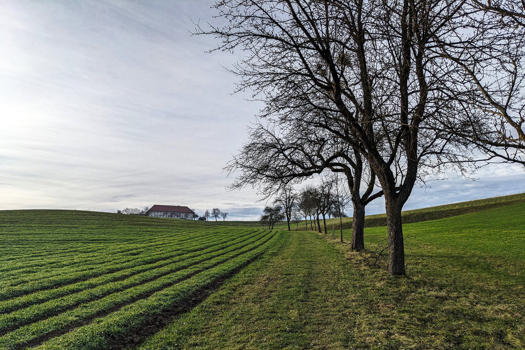 Die Landschaft öffnet sich außerhalb des Waldes. Neben dem Hof verläuft eine Straße, von ihr aus sieht man bald die Berge der Phyrn-Priel Region. Foto: Thomas Obermair
