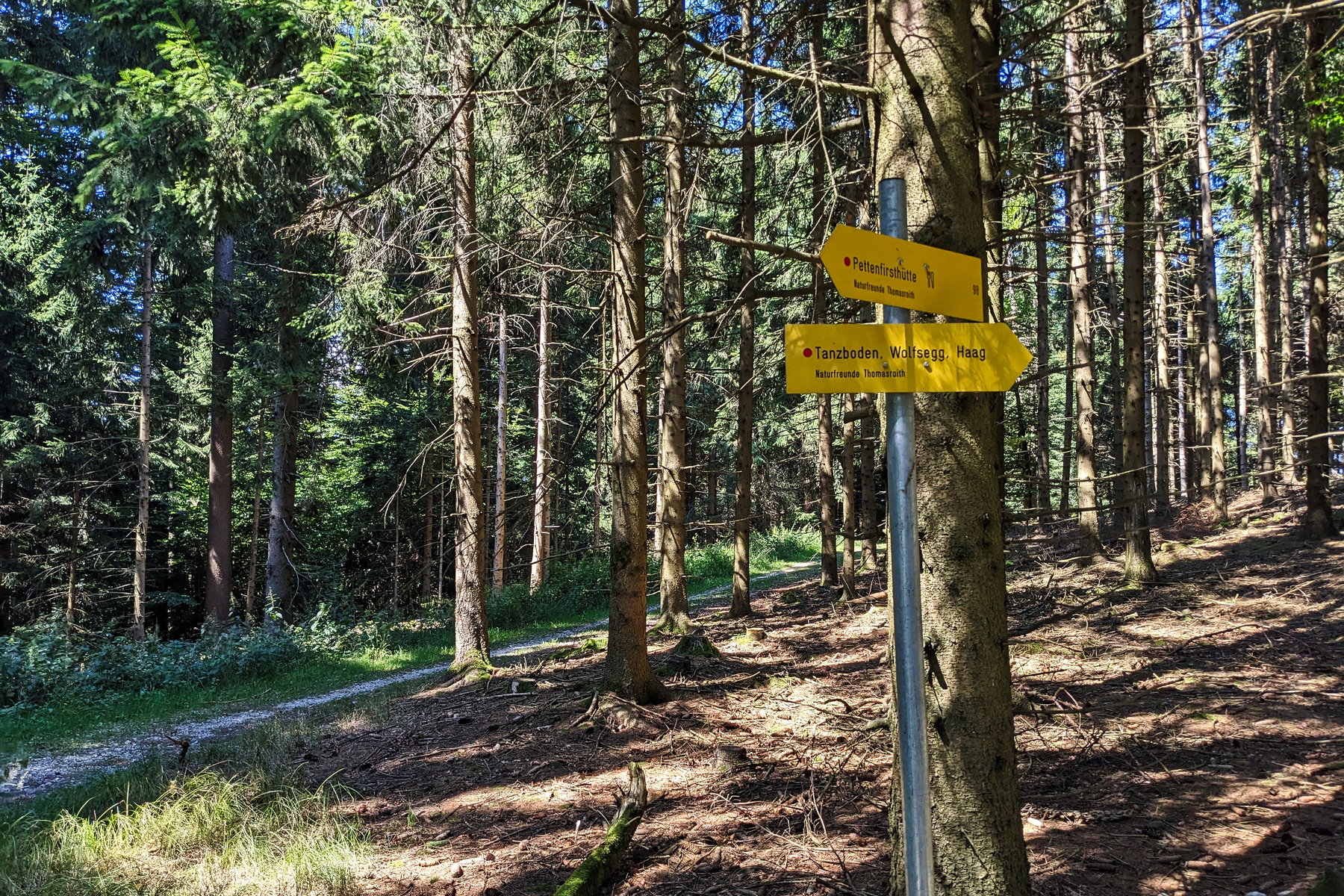 Den Weg im Hintergrund sind wir gekommen, jetzt machen wir uns auf in Richtung Tanzboden. Was man dort wohl tanzt? Wir werden dort heute aber gar nicht hinkommen. Egal, wir grooven uns trotzdem ein! Foto: Thomas Obermair