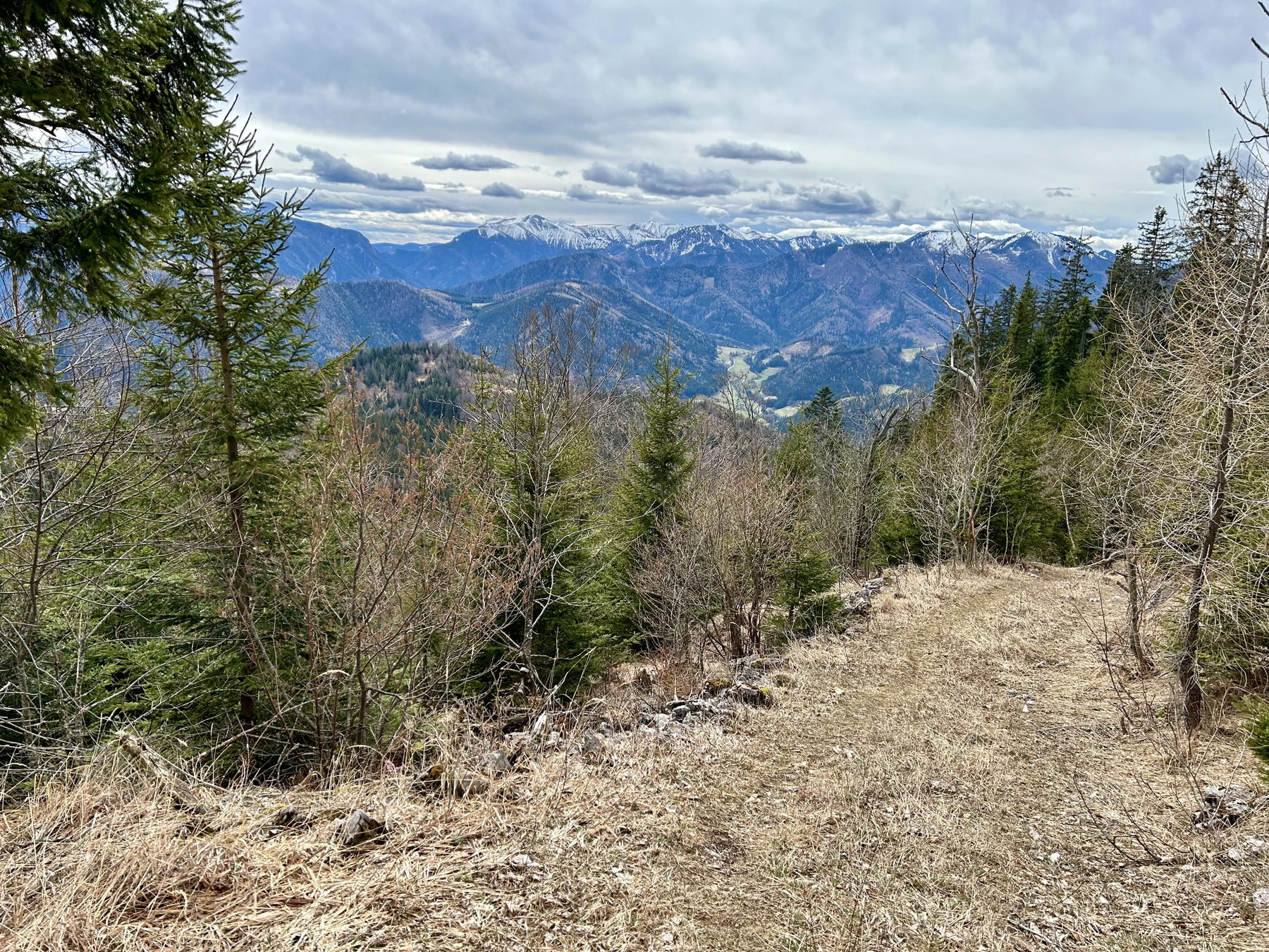 Falkenstein, Handlesberg, Nusskipferl