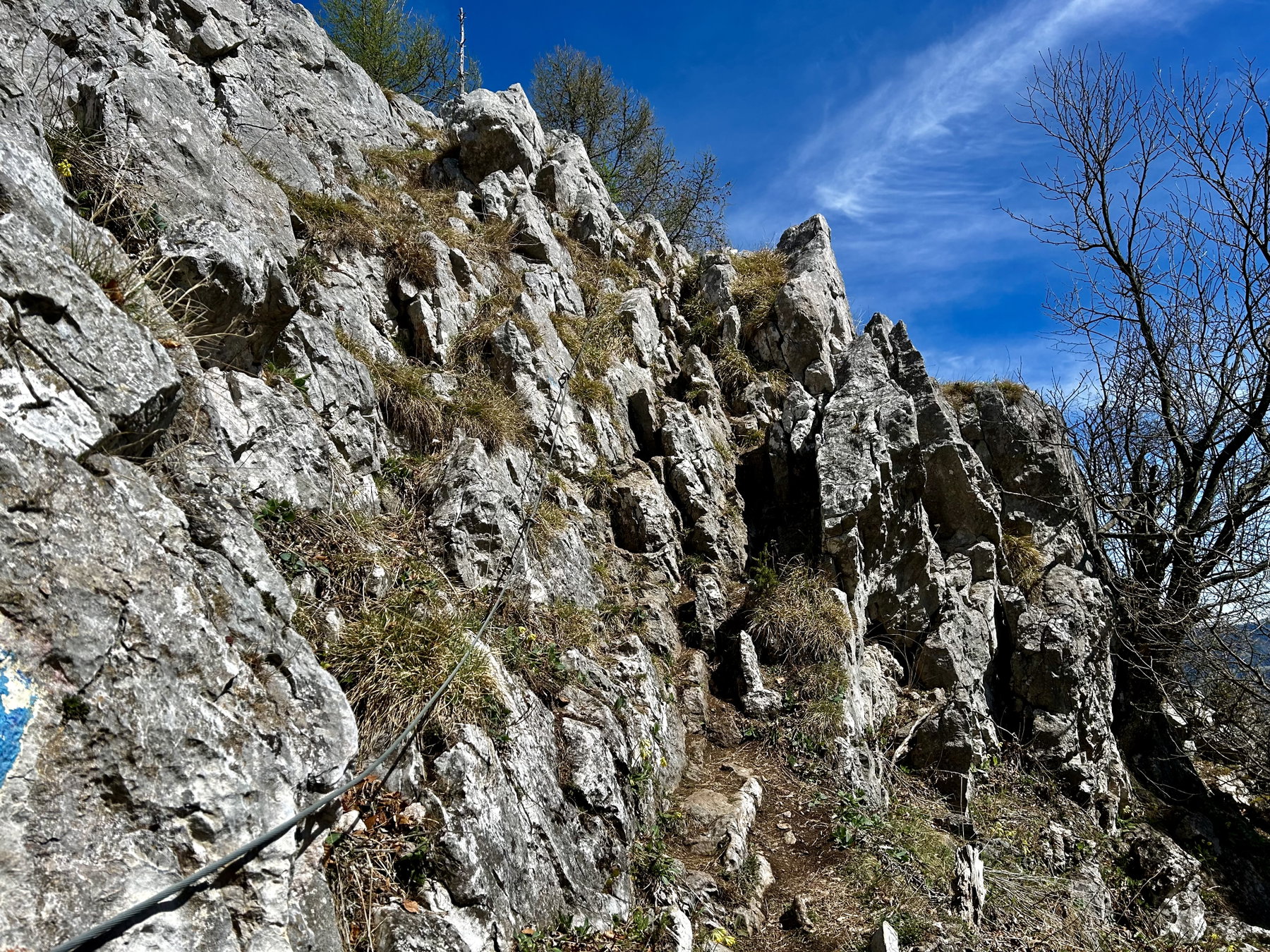Schöne Aussicht zum Röthelstein. Foto Veronika Schöll