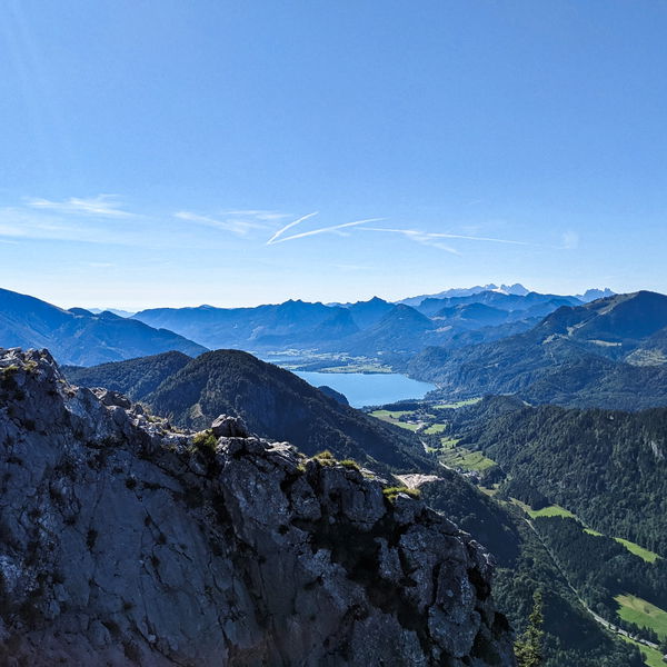 Schober