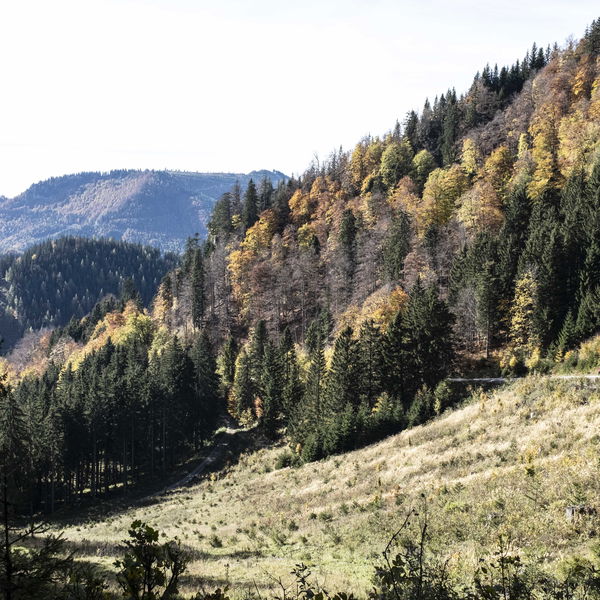 Tiroler Kogel: NÖ Voralpen-Haute-Route im Herbst