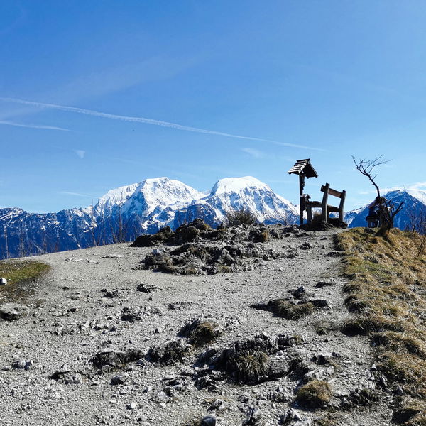 Grünstein Überwanderung