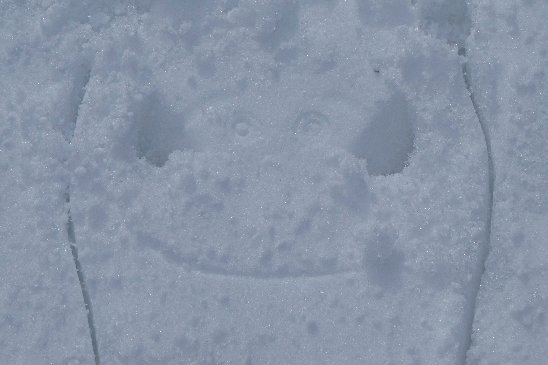 Schneeschuh - Lächeln. Foto: Karl Plohovic
