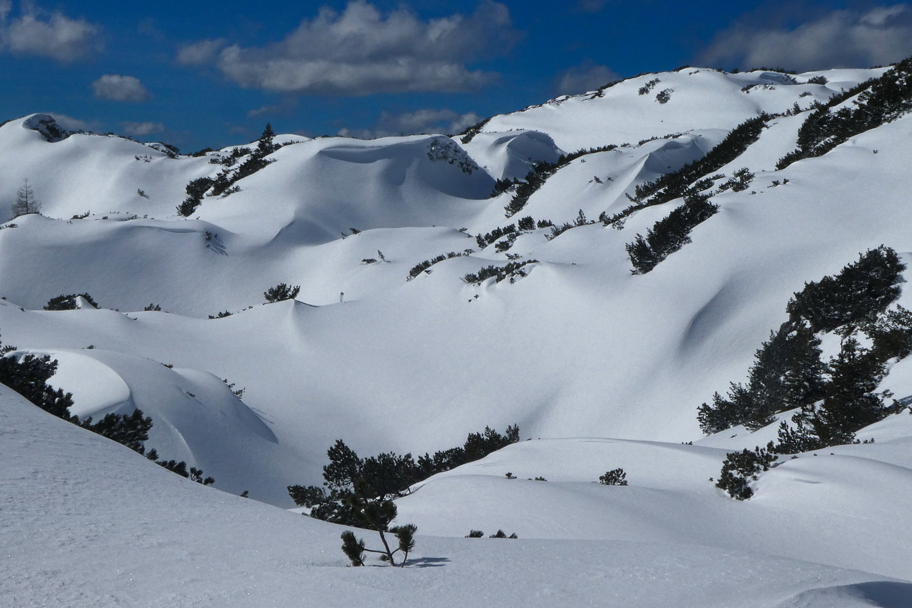Bauwerke aus Wind und Schnee - welche Pracht! Foto: Karl Plohovic