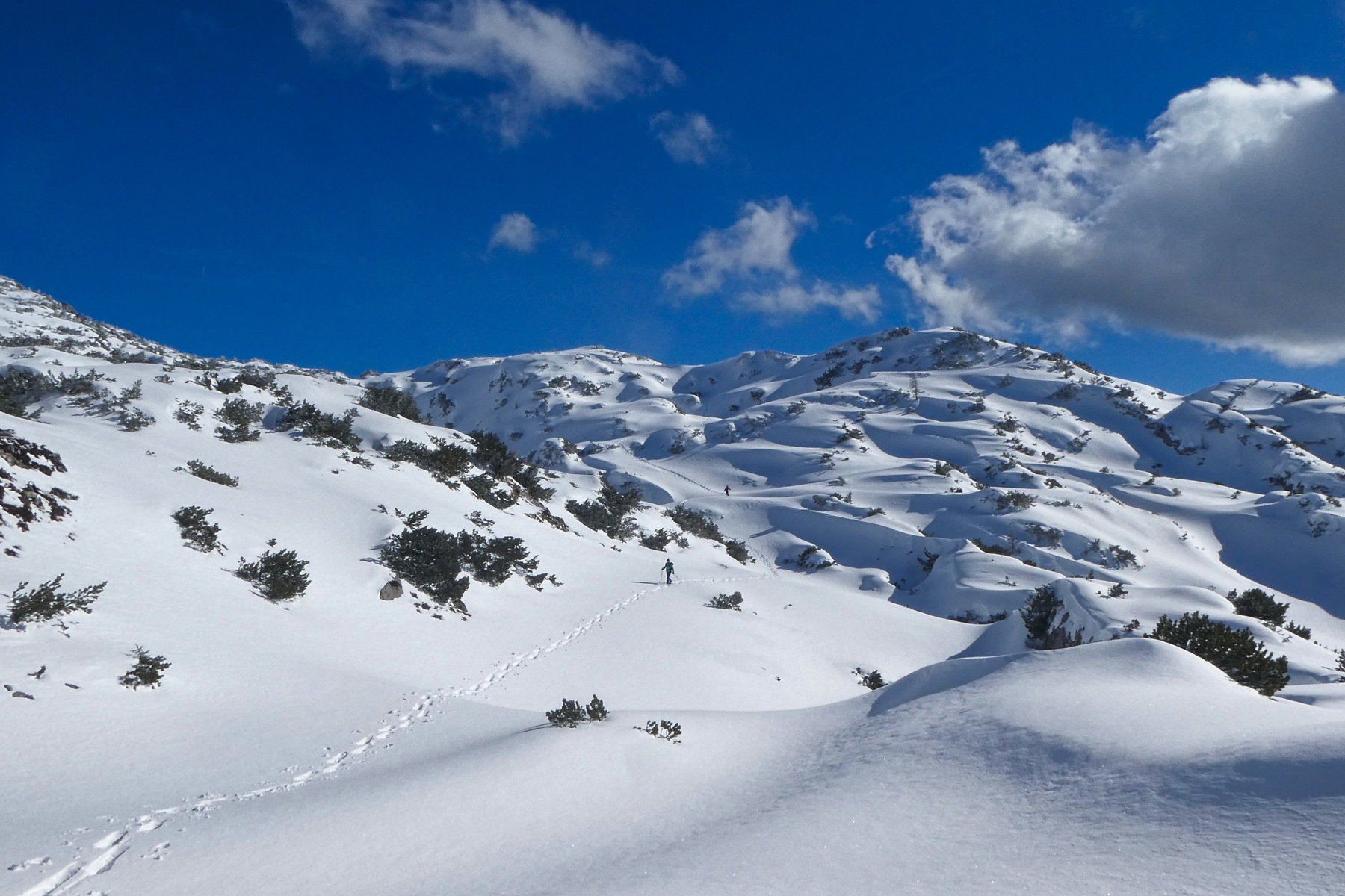 … Schneeschuh - Paradies … Foto: Karl Plohovic
