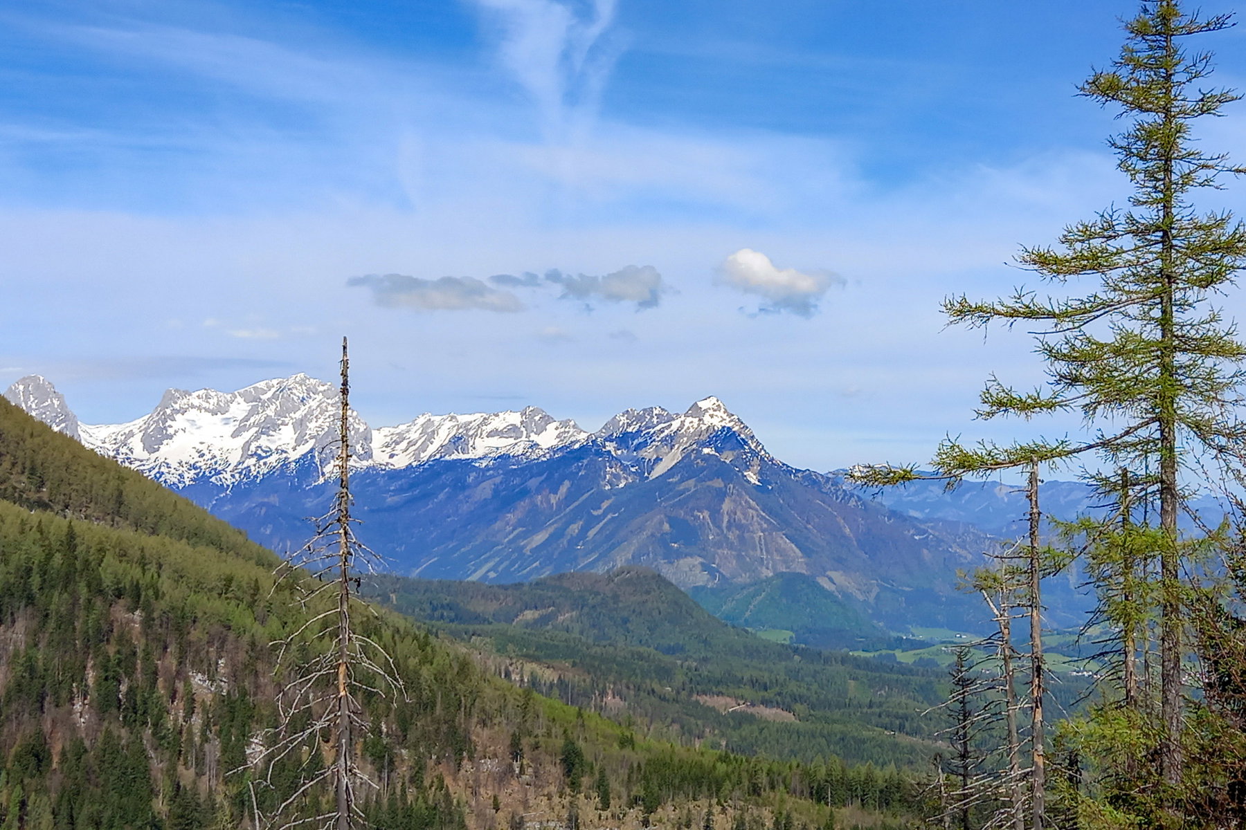 Von einer Lichtung kann man diesen schönen Ausblick genießen. Foto: Martina Friesenbichler