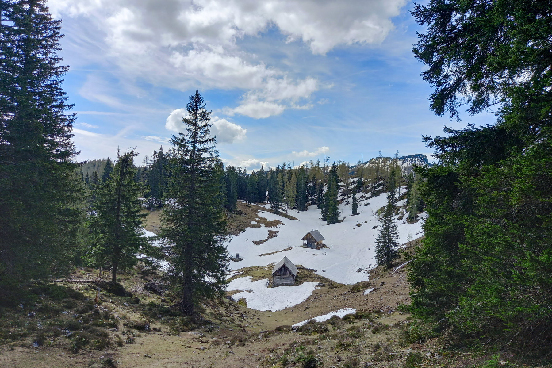 Die Weierbaueralm unterhalb vom Seespitz. Foto: Martina Friesenbichler
