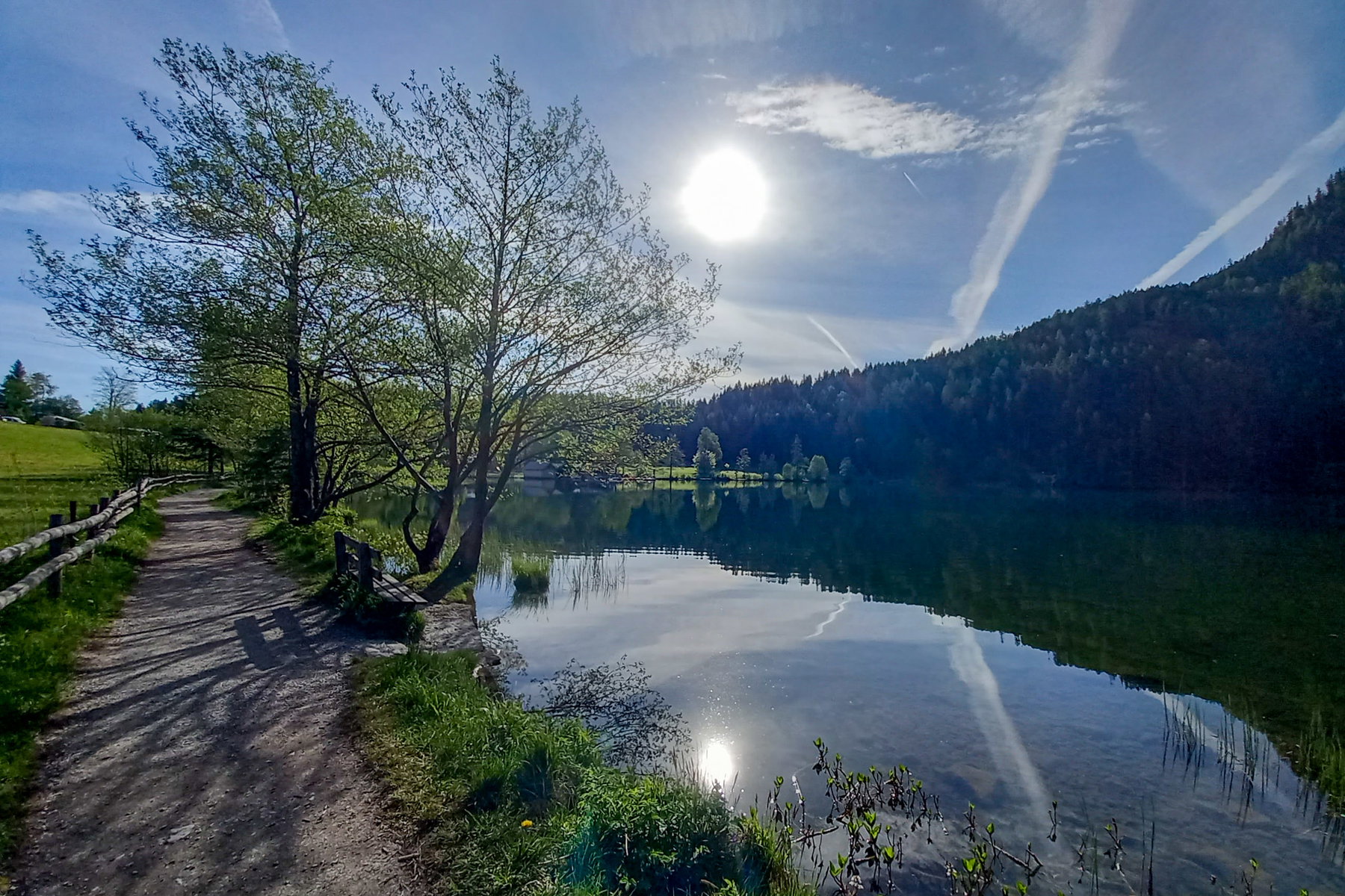Zahlreiche Bankerl rund um den See laden dazu ein, die Seele baumeln zu lassen. Der See ist übrigens ein Moränensee, 600 Meter lang, 300 Meter breit und 30 Meter tief. Ein schöner Rundwanderweg führt um den See. Foto: Martina Friesenbichler