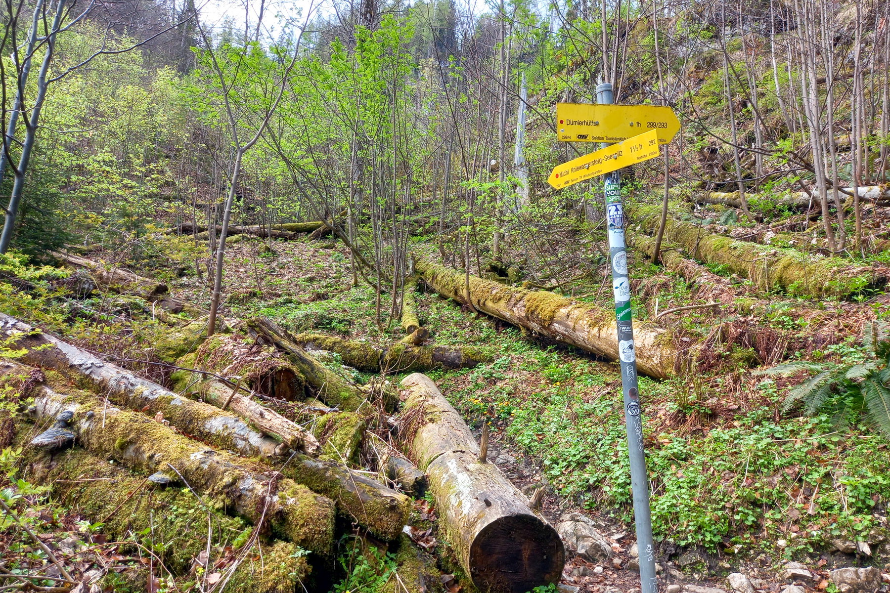 Weggabelung. Ab hier dem Weg 292 folgen. Auf dem anderen Weg gelangt man zur Dümlerhütte. Foto: Martina Friesenbichler