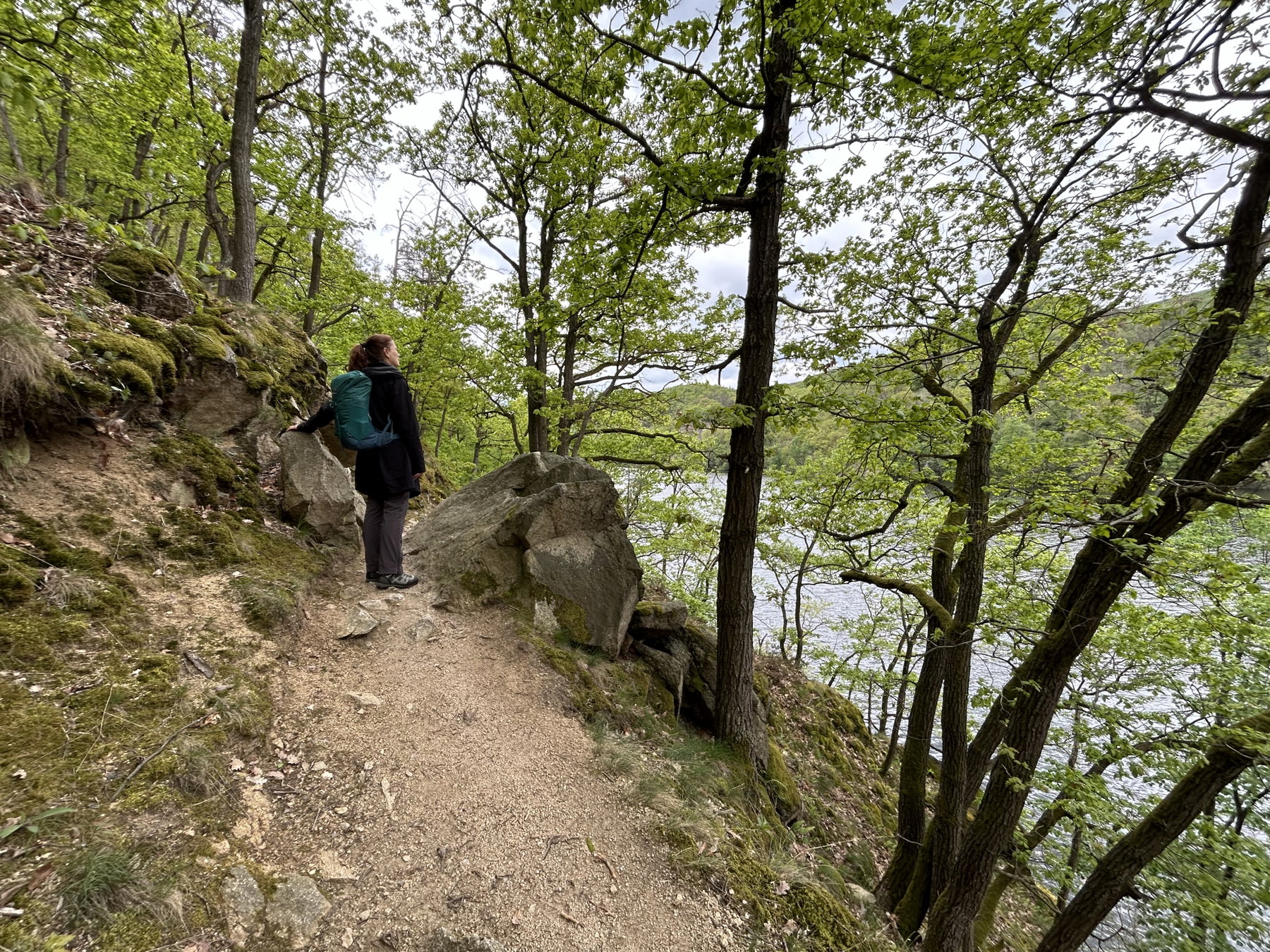 Wanderweg entlang der Thaya. Foto Veronika Schöll