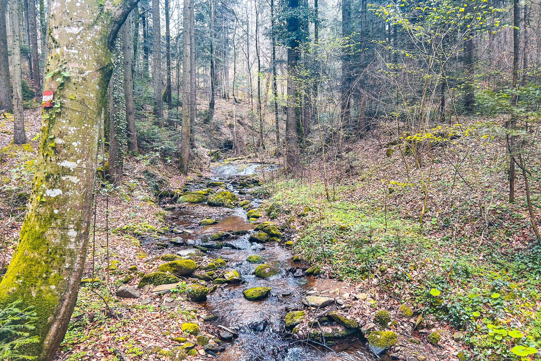 7-Bacherl-Weg in Stubenberg am See