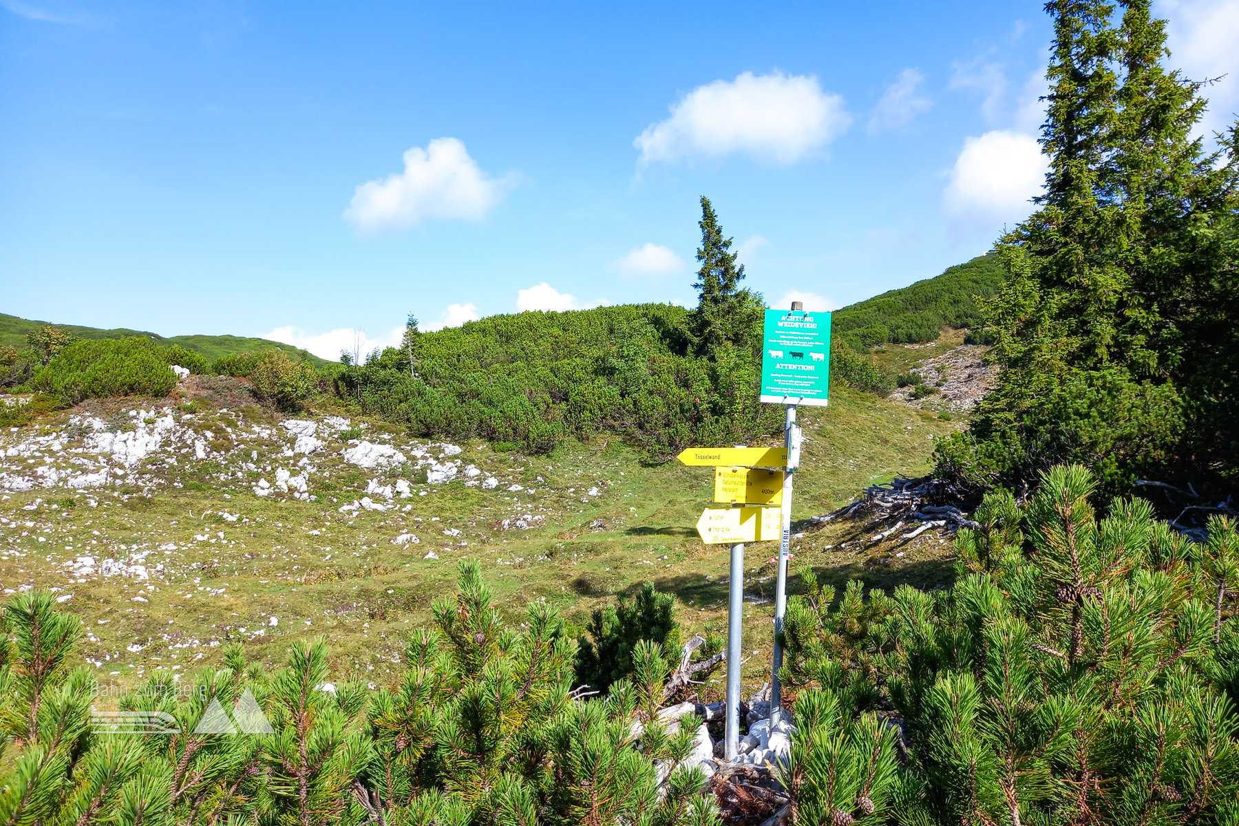 An dieser Weggabelung geht es links weiter. Foto: Martina Friesenbichler