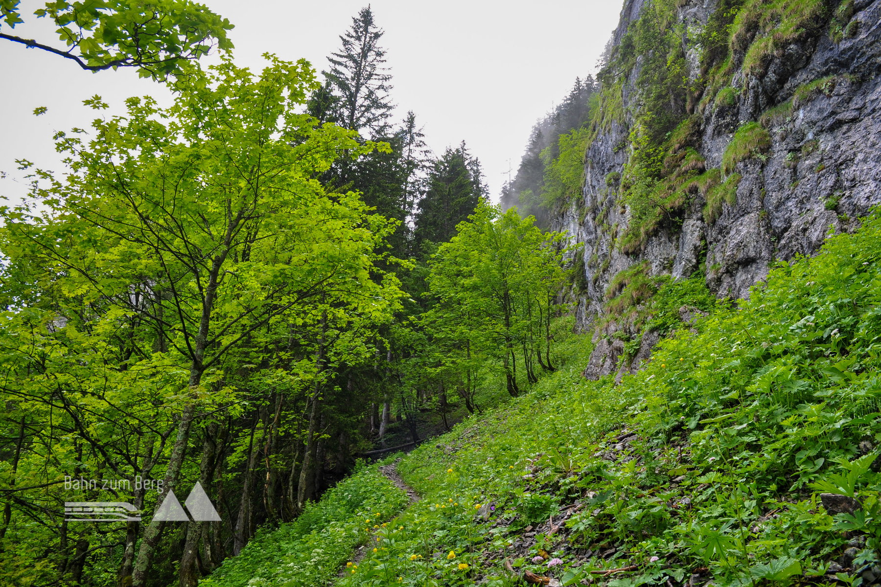 Die ersten Felswände des Gipfelaufbaus. Foto: Norman und Lisa