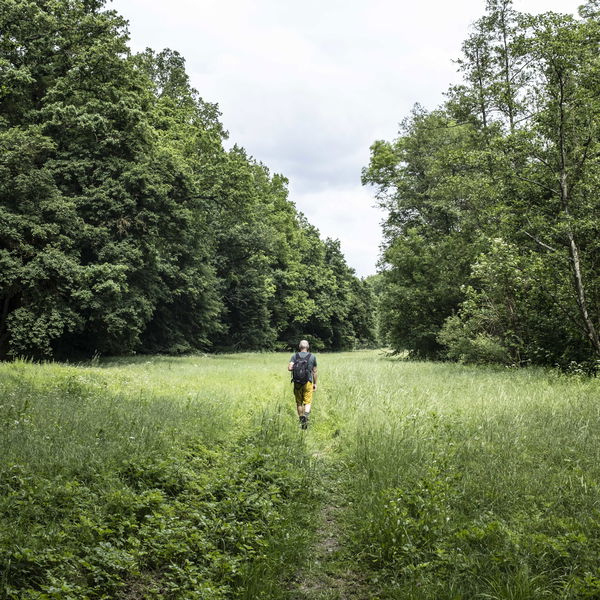 Gemütliche Wanderung im idyllischen Taffatal