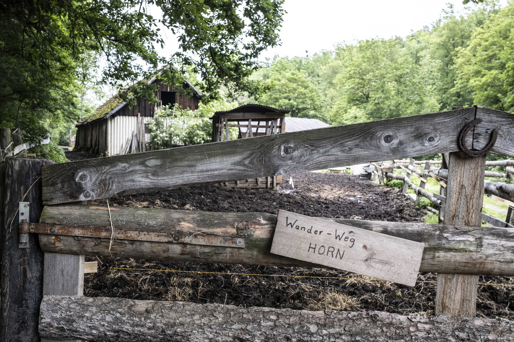 Vorbei an einem Pferdehof. Foto: Birgit Reiter
