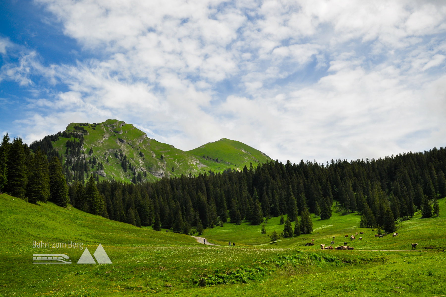 Rückblick von der Kanisalpe zur Kanisfluh-Holenke (rechts). Foto: Norman und Lisa