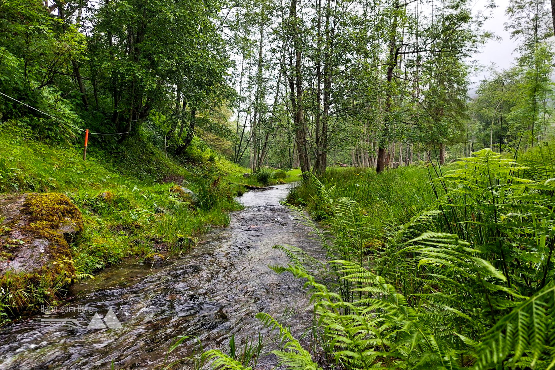 Sehr idyllisch entlang des Illwegs. Foto: Alice Frischherz