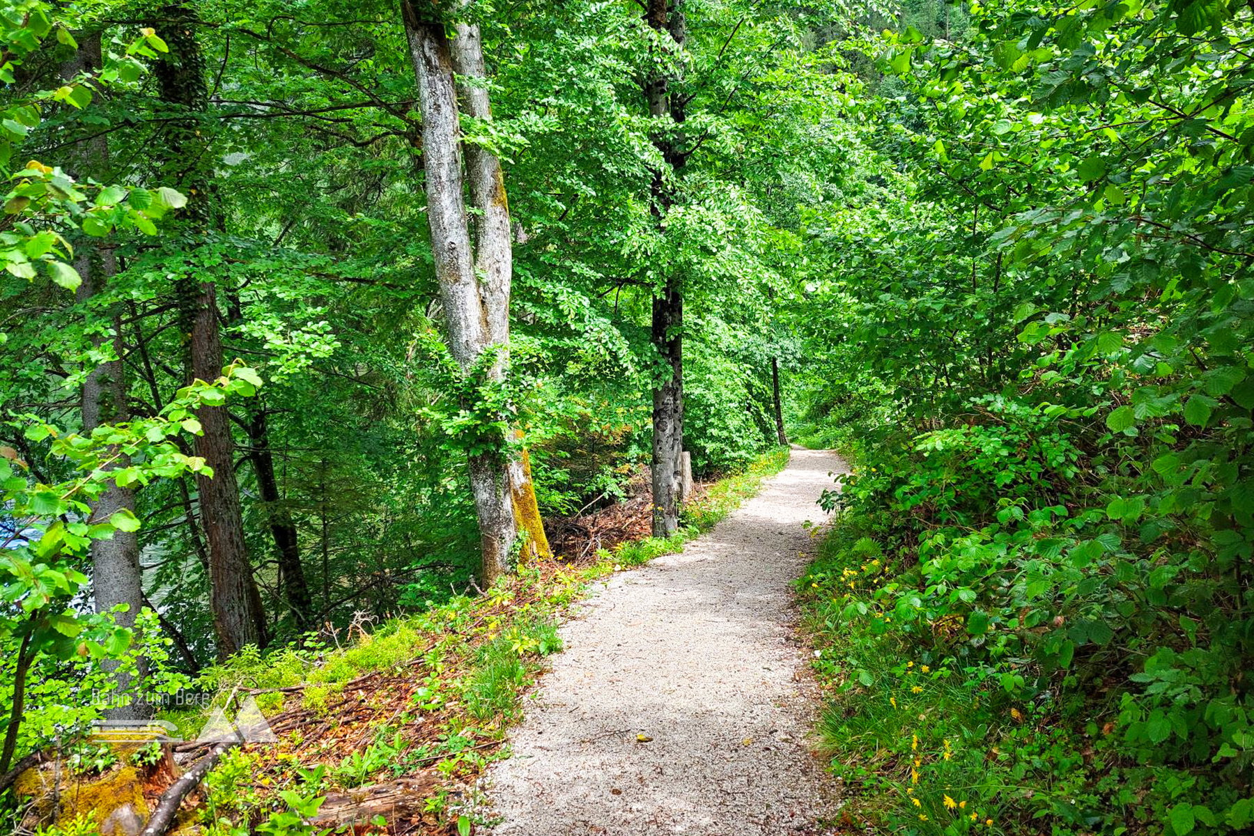 Abwechslungsreicher Wanderweg am Ostufer des Hallstättersees. Foto: Alice Frischherz