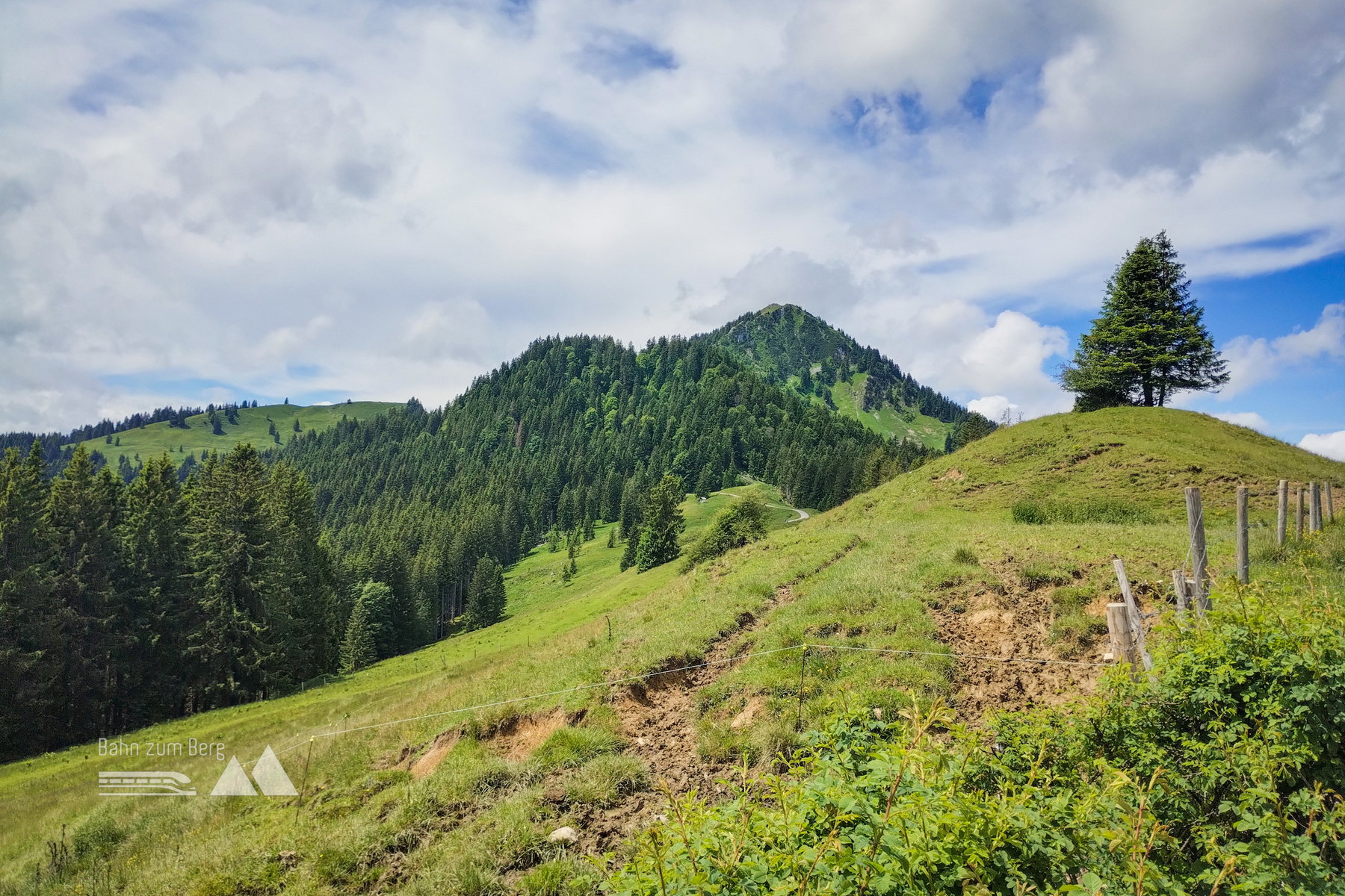 Fockenstein
