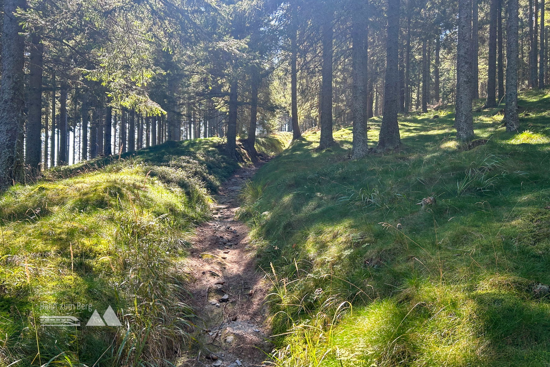 Gemütlich am Almsteig bergauf. Foto Veronika Schöll