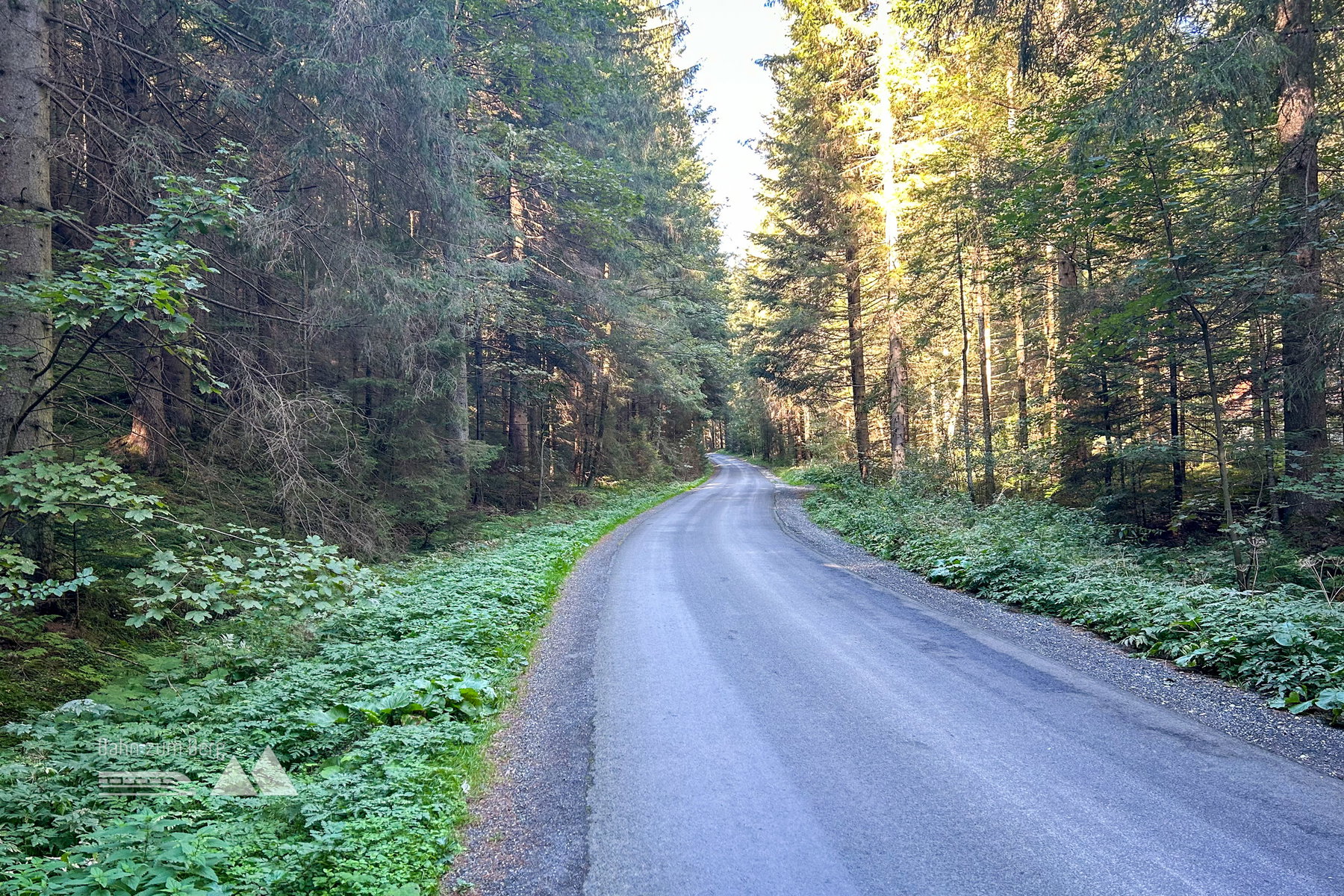 Von der Busstation bis zum Beginn der Wandersteige kurz auf Asphalt. Foto Veronika Schöll