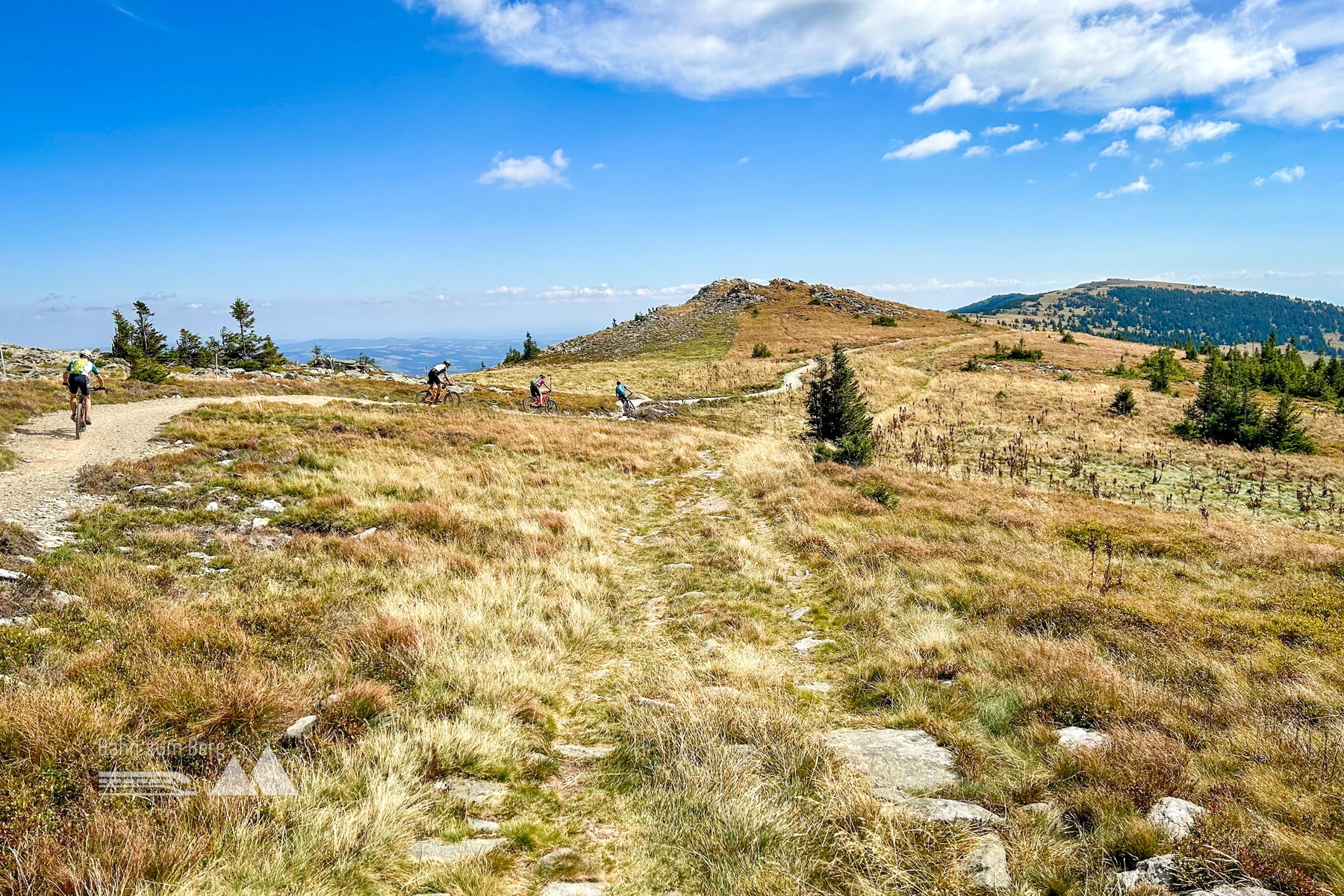 Friedliche Koexistenz: MTB-Trail und Wanderweg. Foto Veronika Schöll