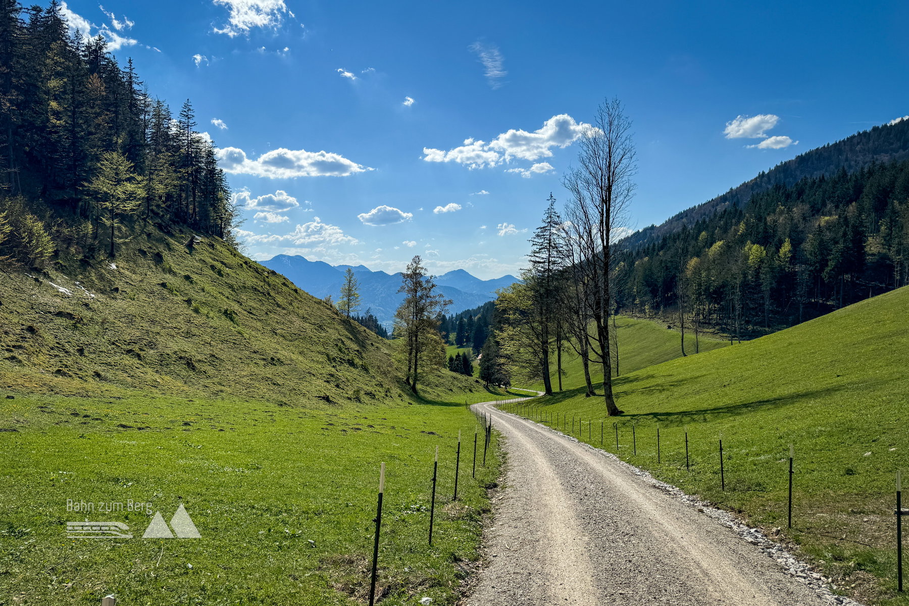 Forstweg, der Blick ist nach hinten gerichtet. Foto: Bernhard Walle